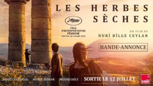 les herbes sèches