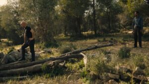 مشهد من فيلم أجورا