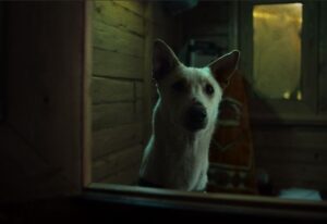 الكلب رامبو من فيلم «البحث عن منفذ لخروج السيد رامبو»