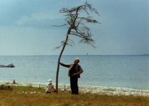 أندريه تاركوفسكي