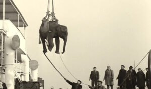 Soundtrack to a Coup d'Etat (2024)