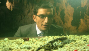 فيلم جنينة الأسماك (2008)