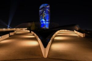 سينما الهوية