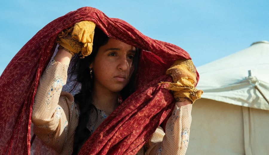 «هوبال»... ويبقى الأثر