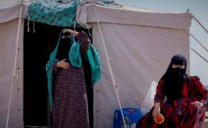 فيلم ( هوبال - 2024)