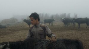 فيلم إبراهيم (2025)