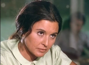 أهل القمة (1981)