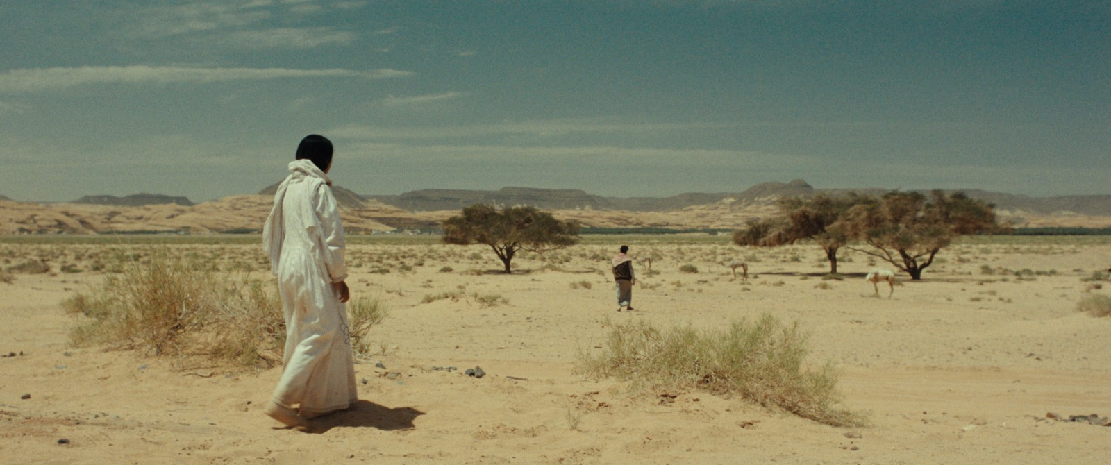 فيلم هجرة (2025)