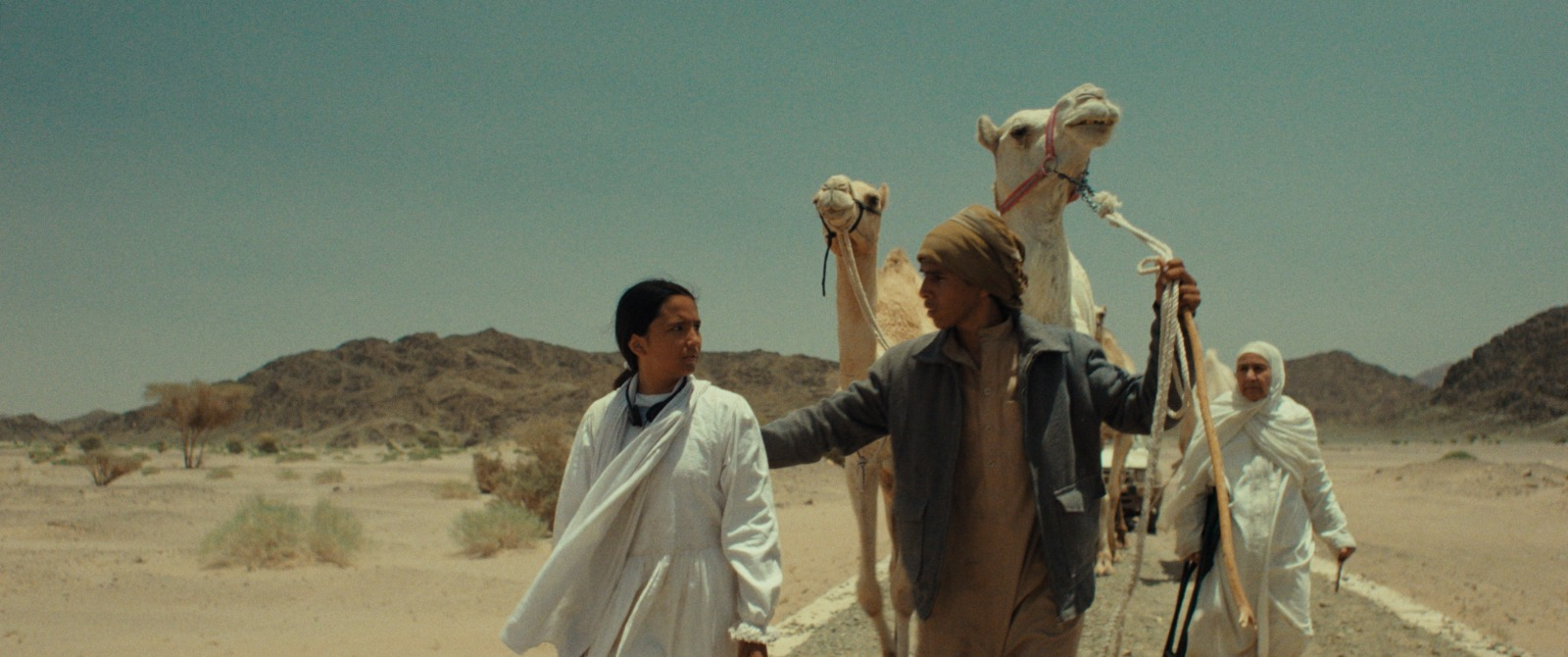 فيلم هجرة (2025)