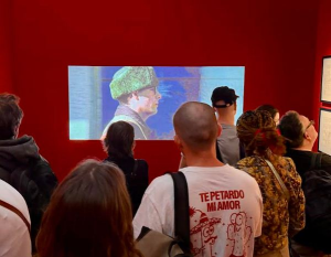 جمهور فضولي في عالم أندرسون