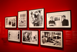 «فاصلة» في حديقة وس أندرسون السرية