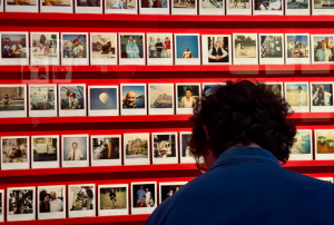 «فاصلة» في حديقة وس أندرسون السرية