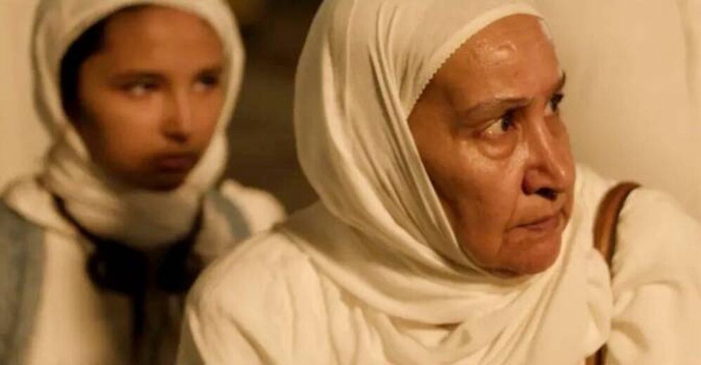 «هجرة»... رحلة في الماضي والحاضر والمستقبل