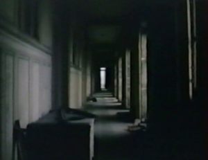 استعادة ما لم يوجد.. مدخل إلى سينما مارجريت دوراس