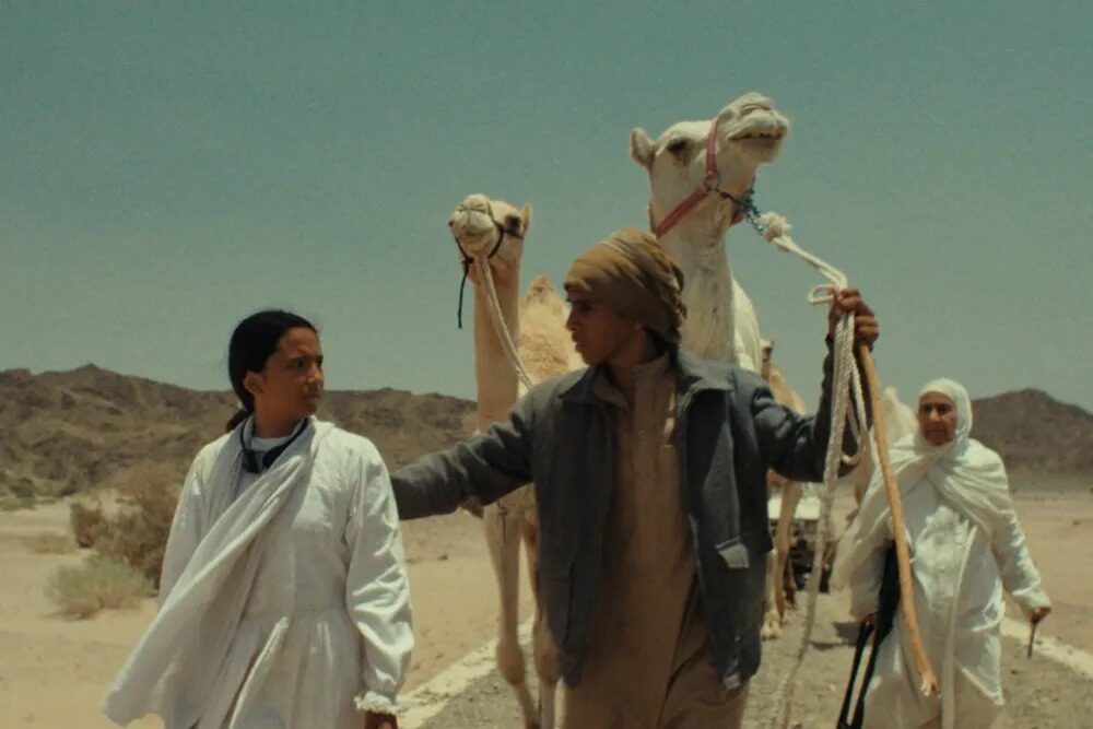 فيلم هجرة (2025)