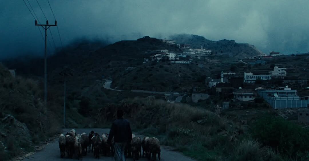 فيلم هجرة (2025)