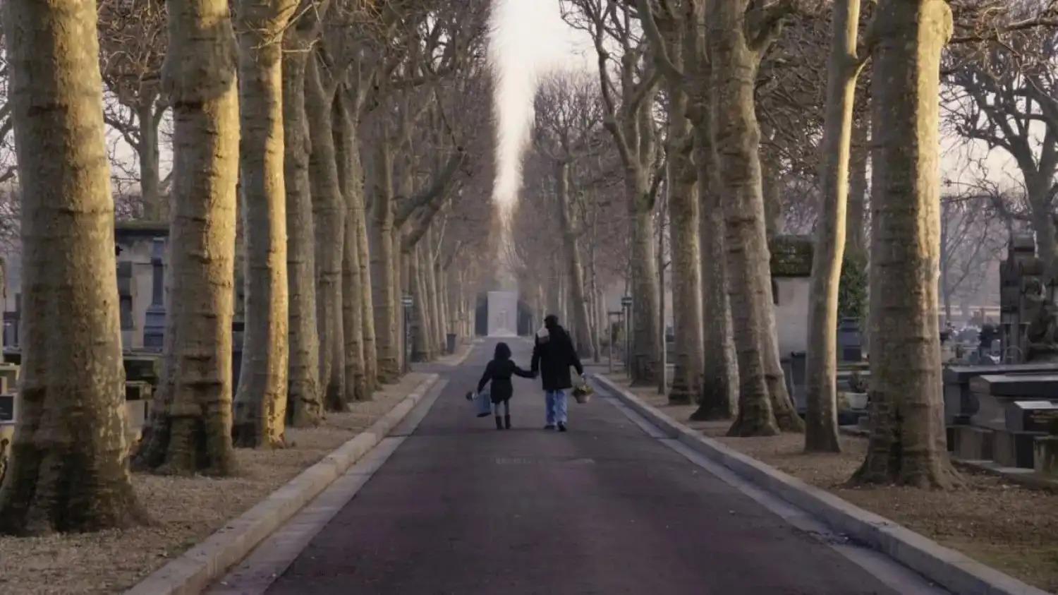 نمير عبد المسيح "الحياة بعد سهام"