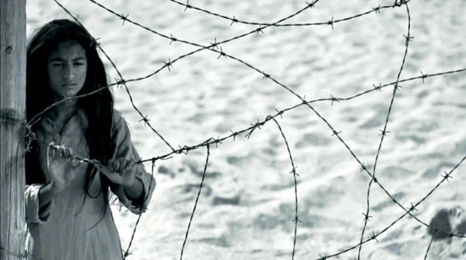  رحلة السينما السعودية نحو الأوسكار 