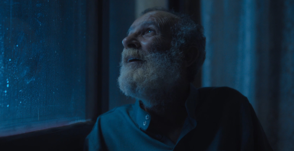 كولونيا (2025)