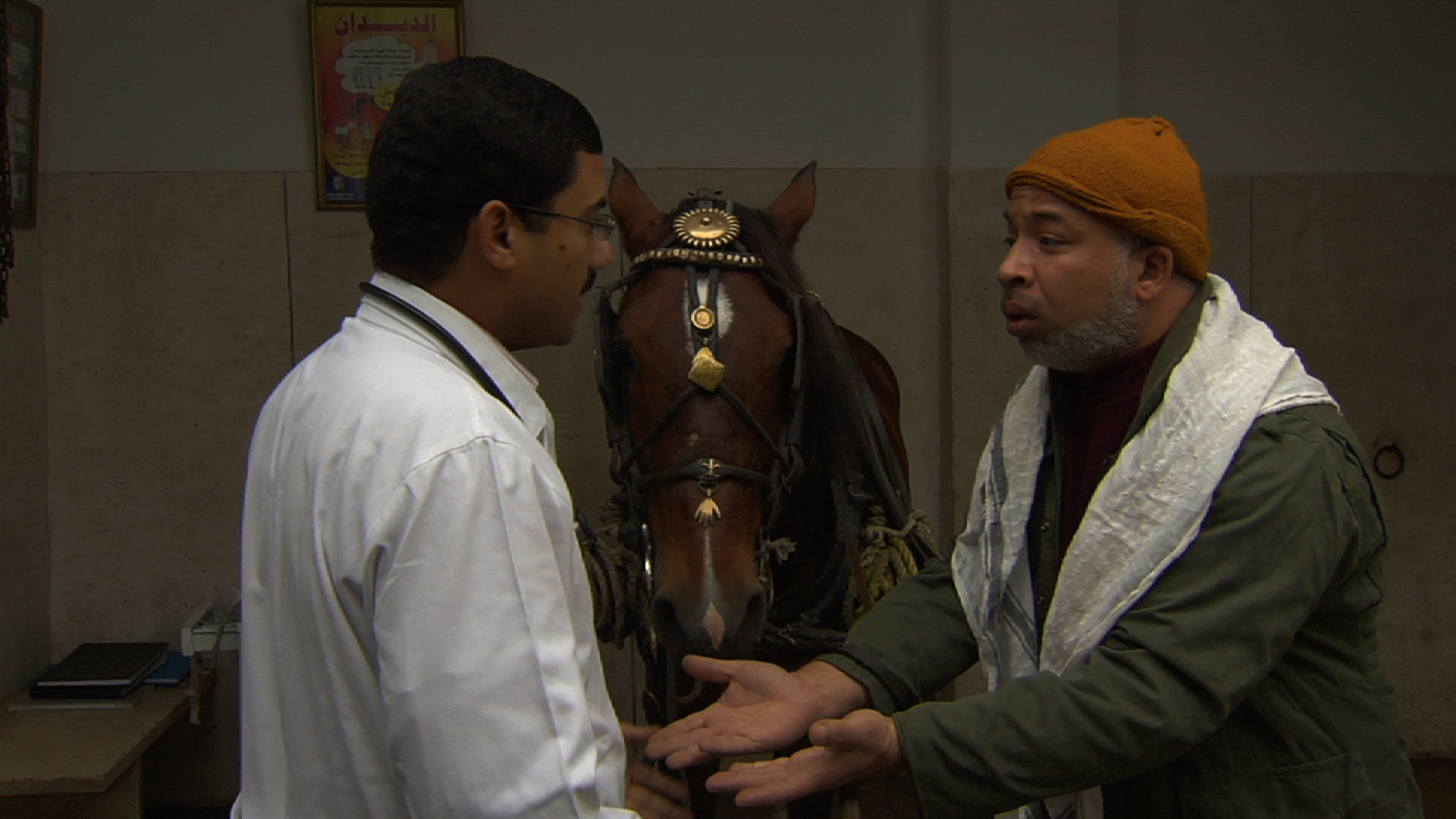  سينما إبراهيم البطوط 