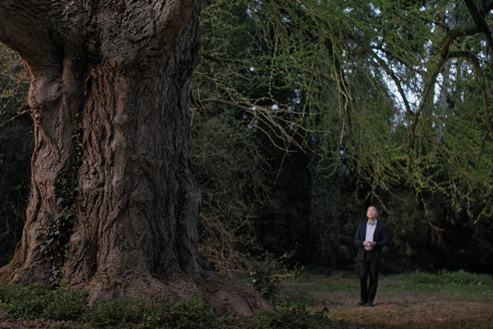 Silent Friend (2025)
