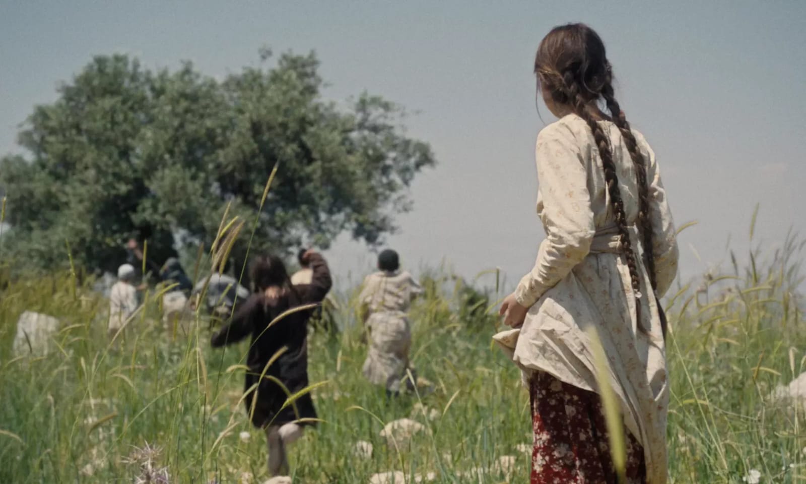 فلسطين 36 (2025)