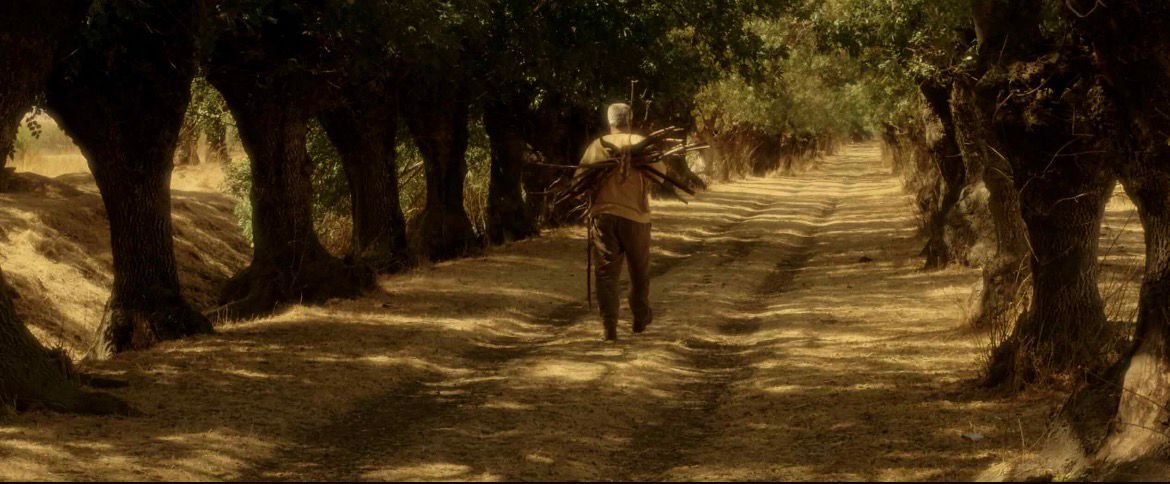 المنتهى (2025)