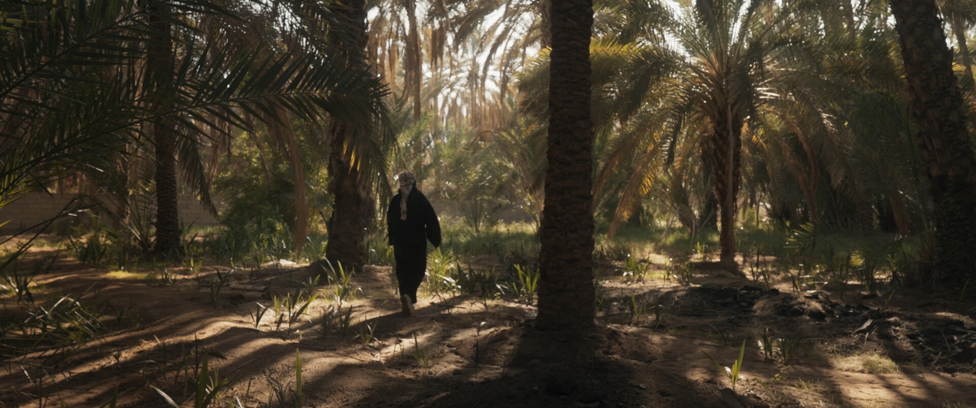 المخرجة الألمانية ستيفاني بروكهاوس