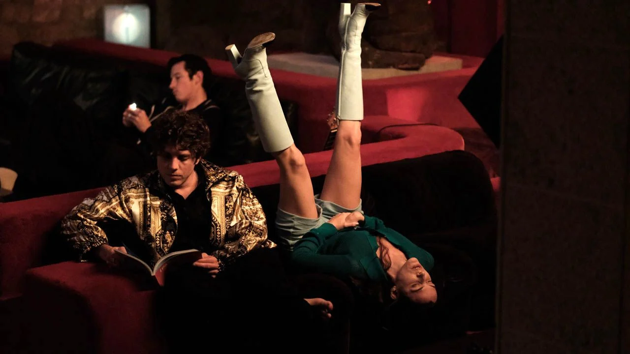 تشذيب شجيرات الورد