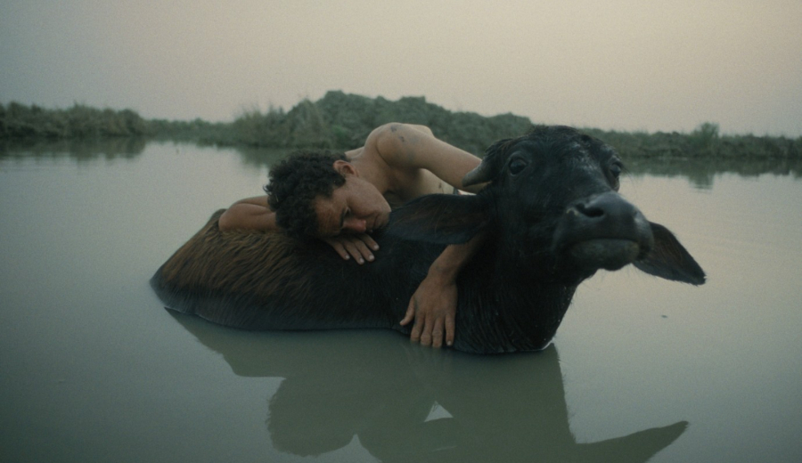 «إبراهيم»… يوم لا تجري من تحته الأنهار