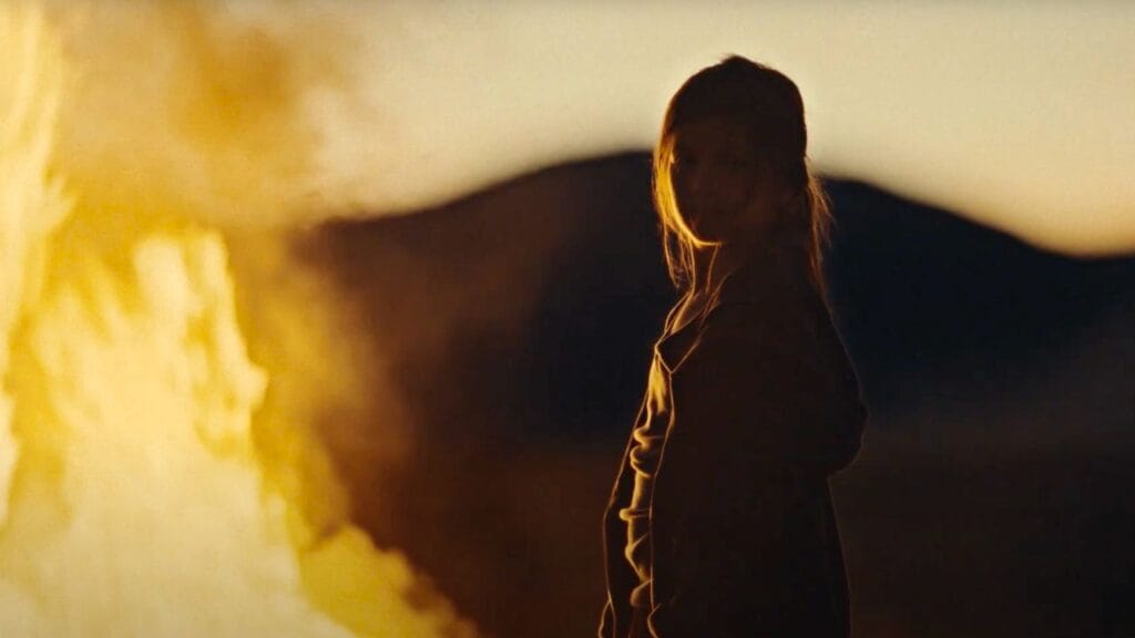 «نينا روزا»