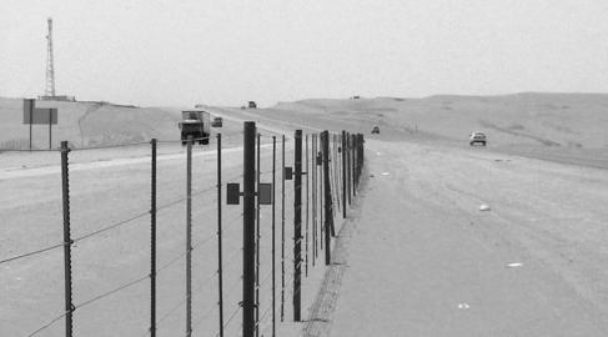 السينما 500 كم (2006)