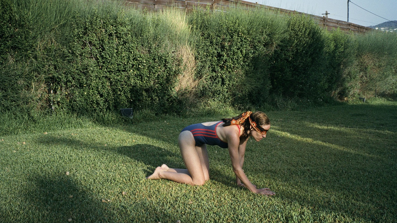 أسنان الكلب