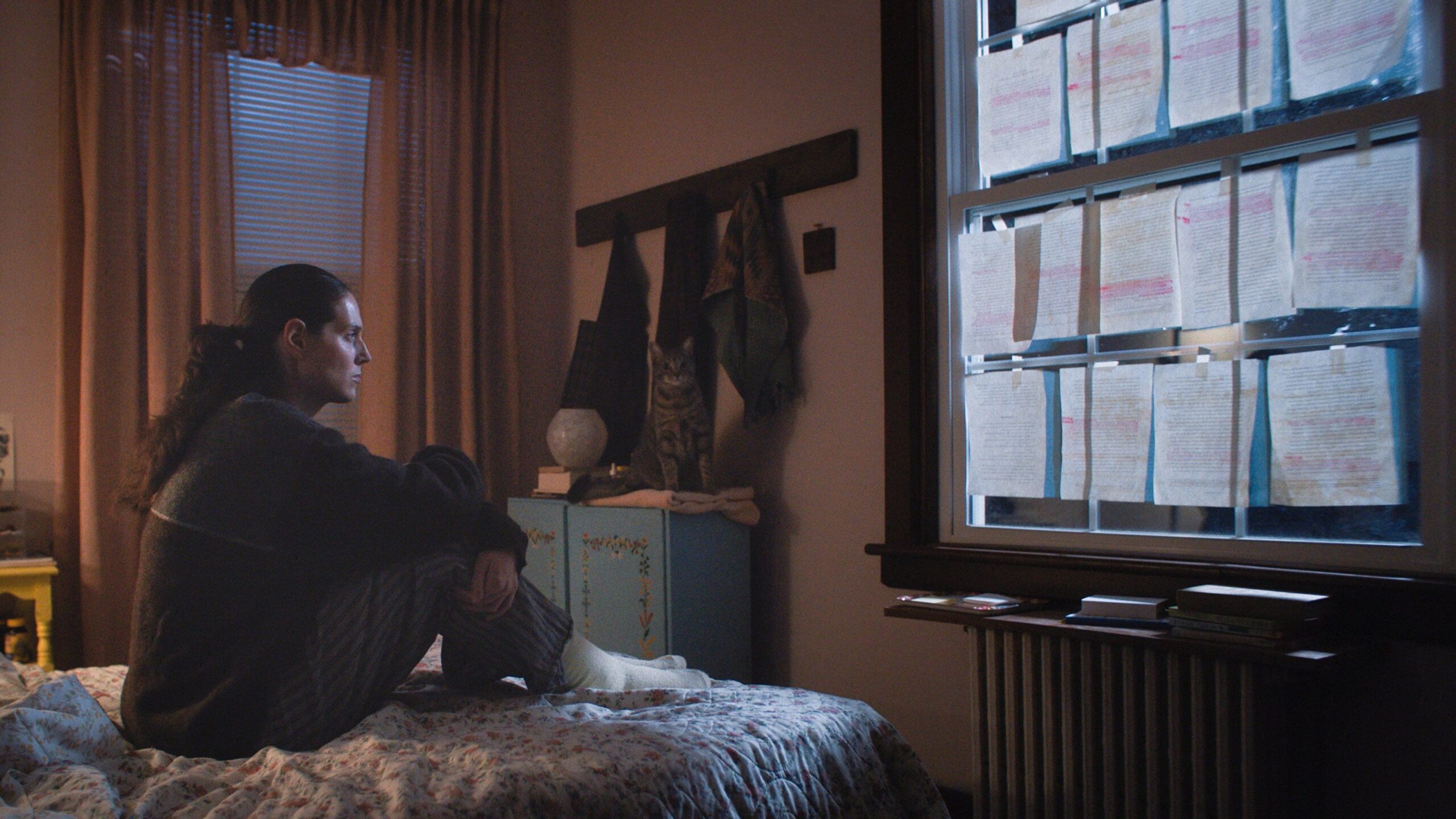 Sorry, Baby (2025) آسف، حبيبتي 