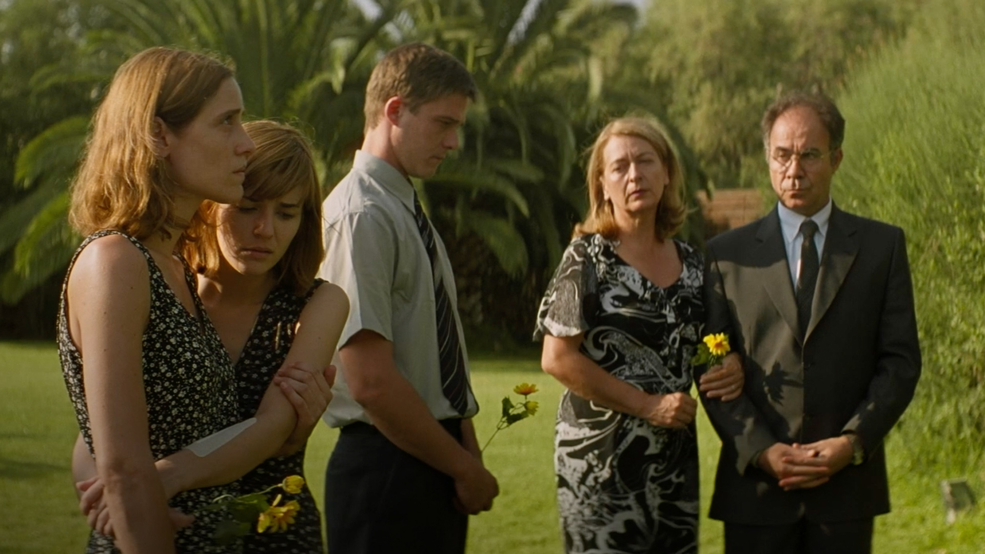 أسنان الكلب