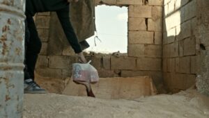 كنتاكي غزة