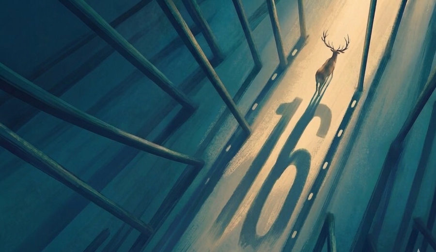 39 فيلمًا في مهرجان مالمو للسينما العربية بدورته السادسة عشرة