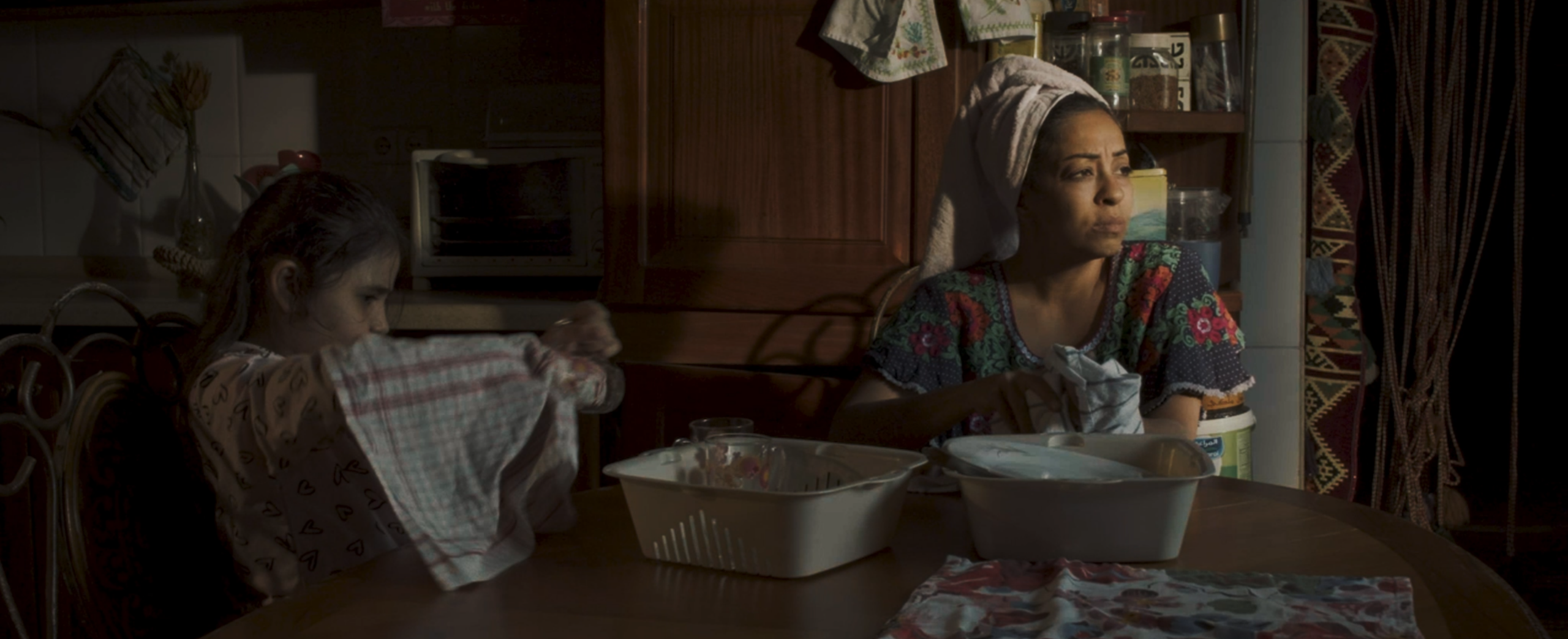 ضياء شمسي (2024)