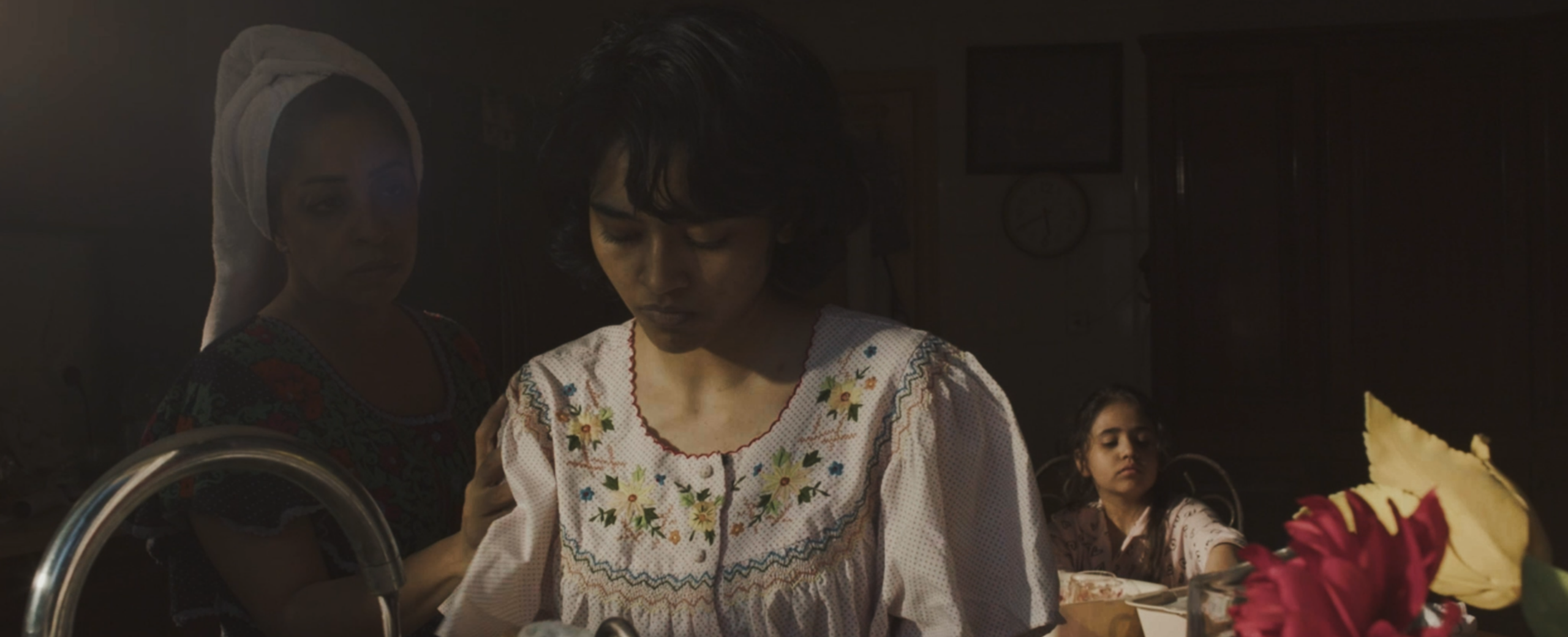 ضياء شمسي (2024)