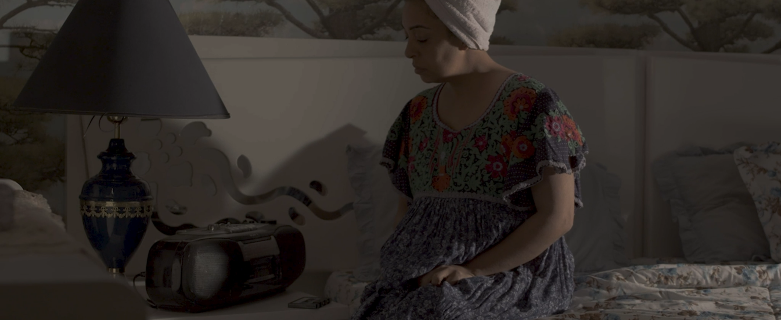 ضياء شمسي (2024)