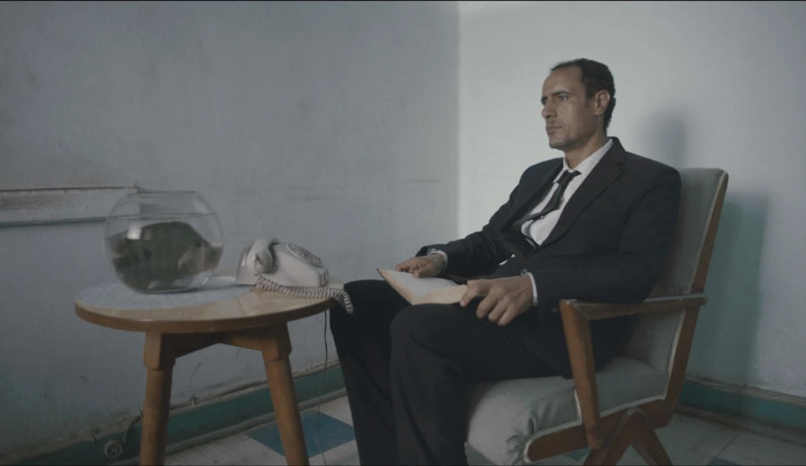 «ما بعد وضع حجر الأساس لمشروع الحمام بالكيلو 375»… تشيخوف في صحراء العبث 