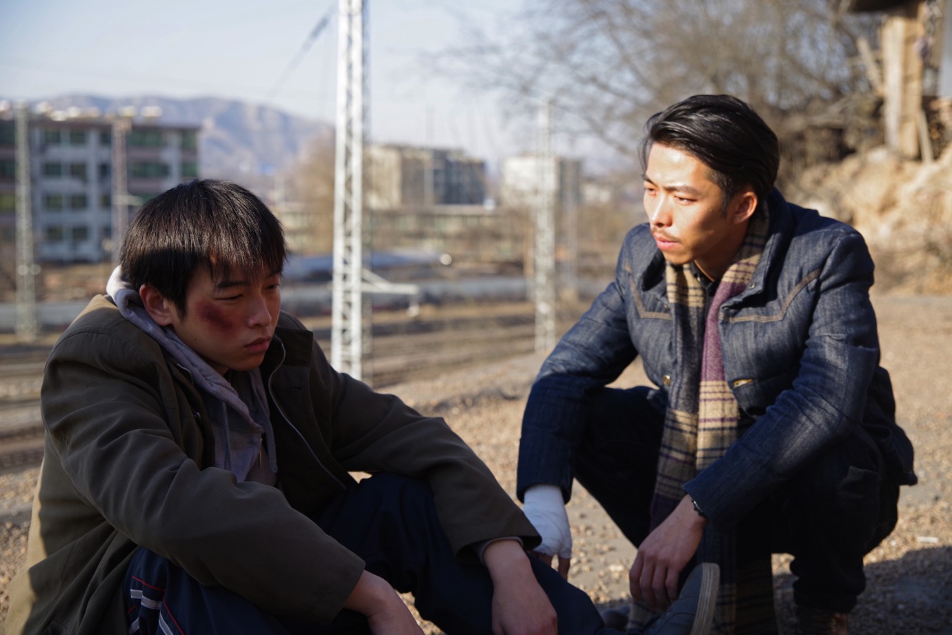 فيلٌ يجلس ساكنًا