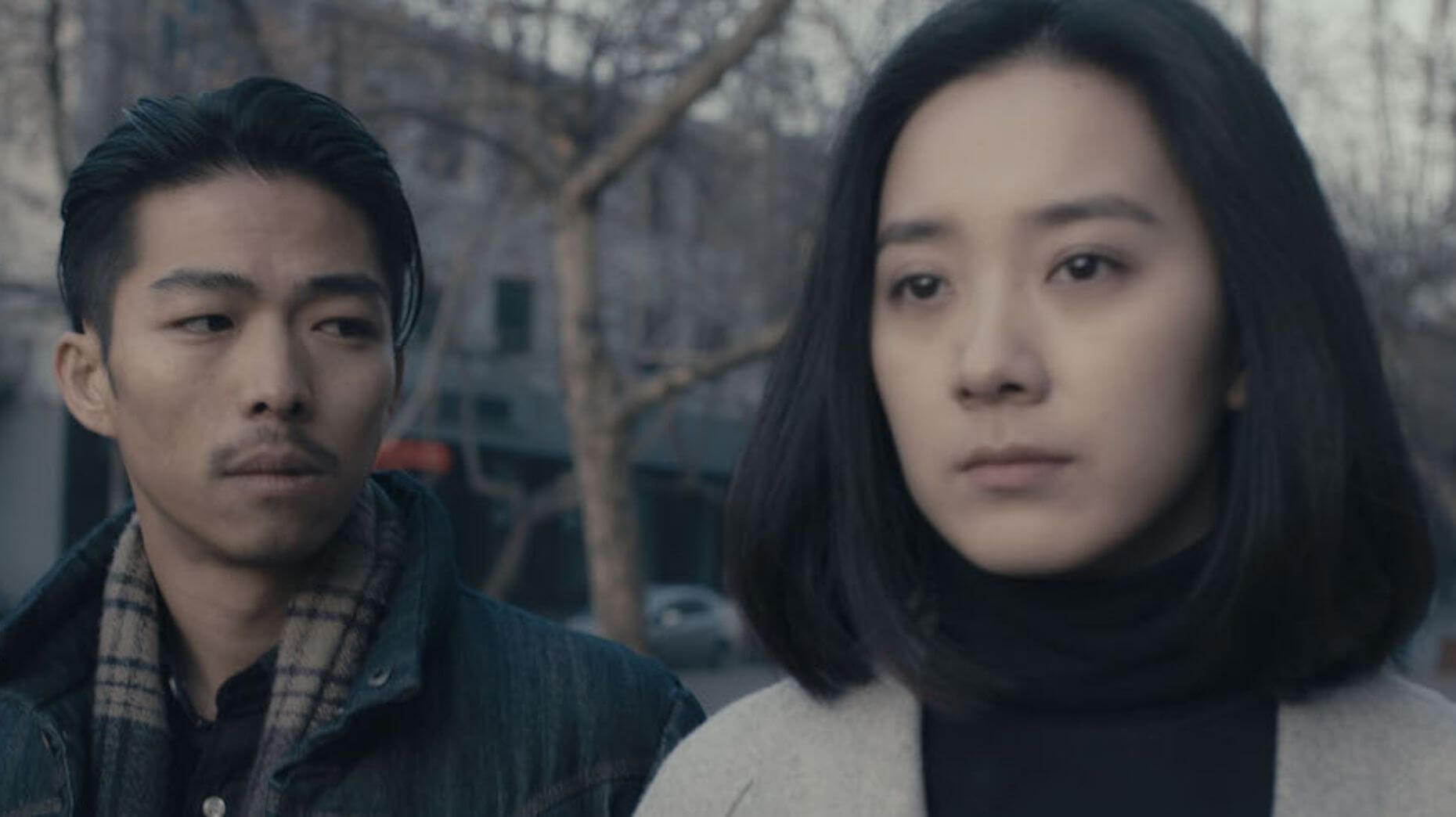 an elephant sitting still (2018)2