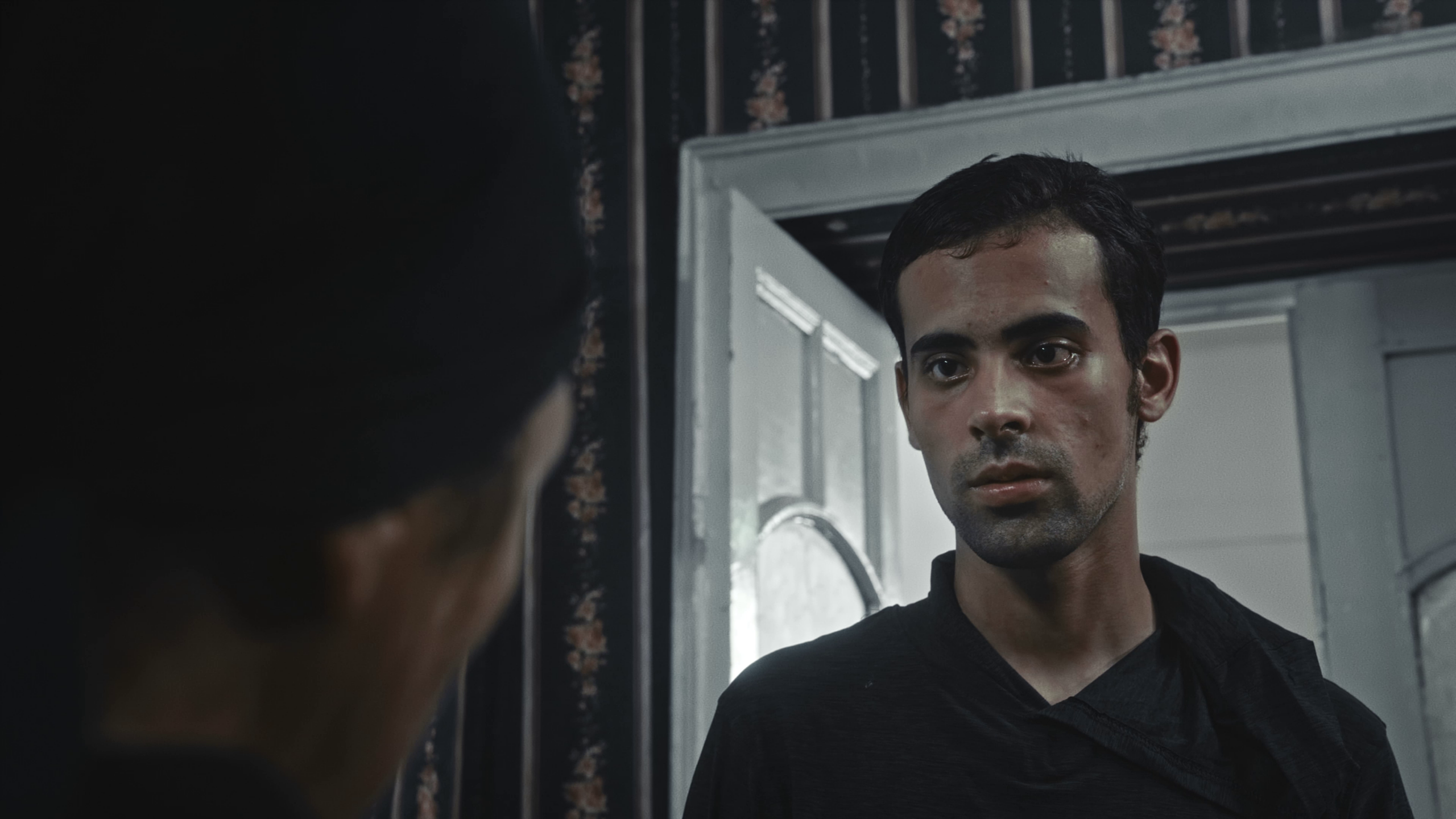 عين السمكة (2026)