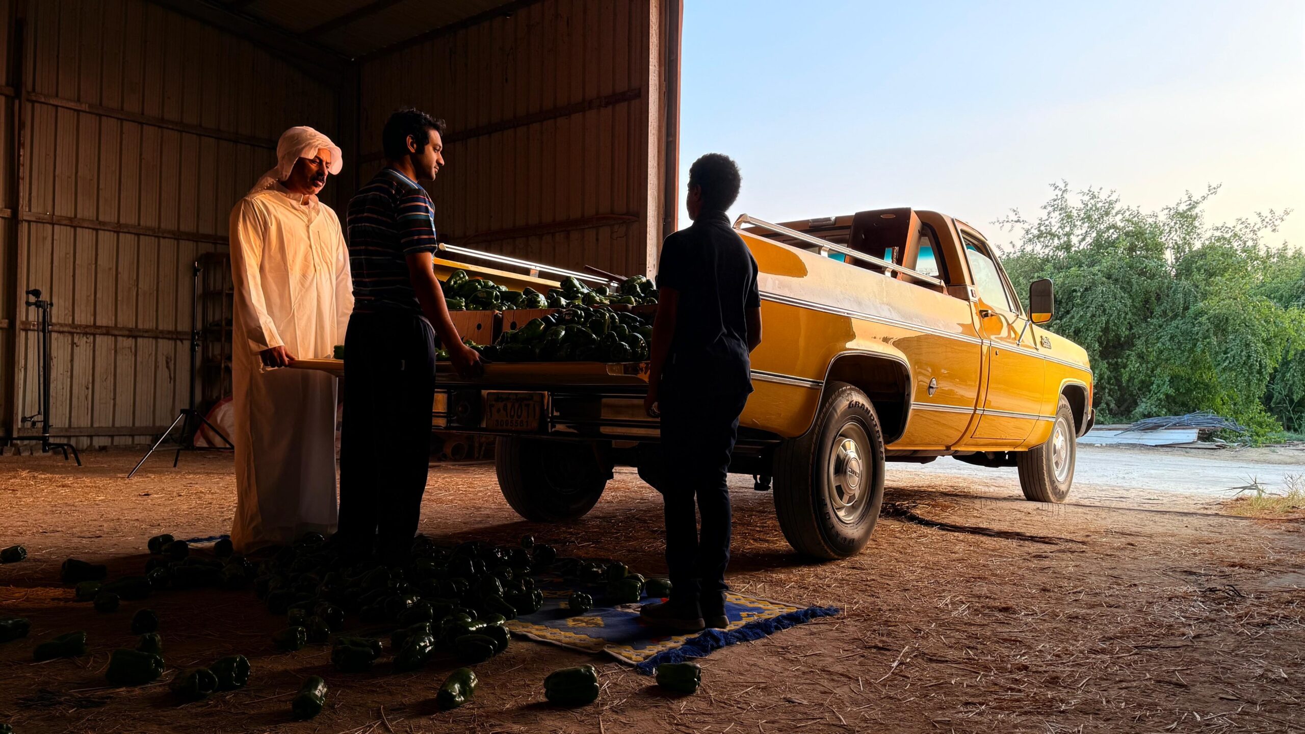 مرزوق (2026)