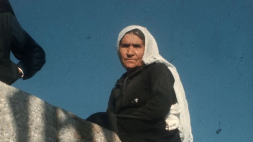 الثوار لا يموتون (2026)