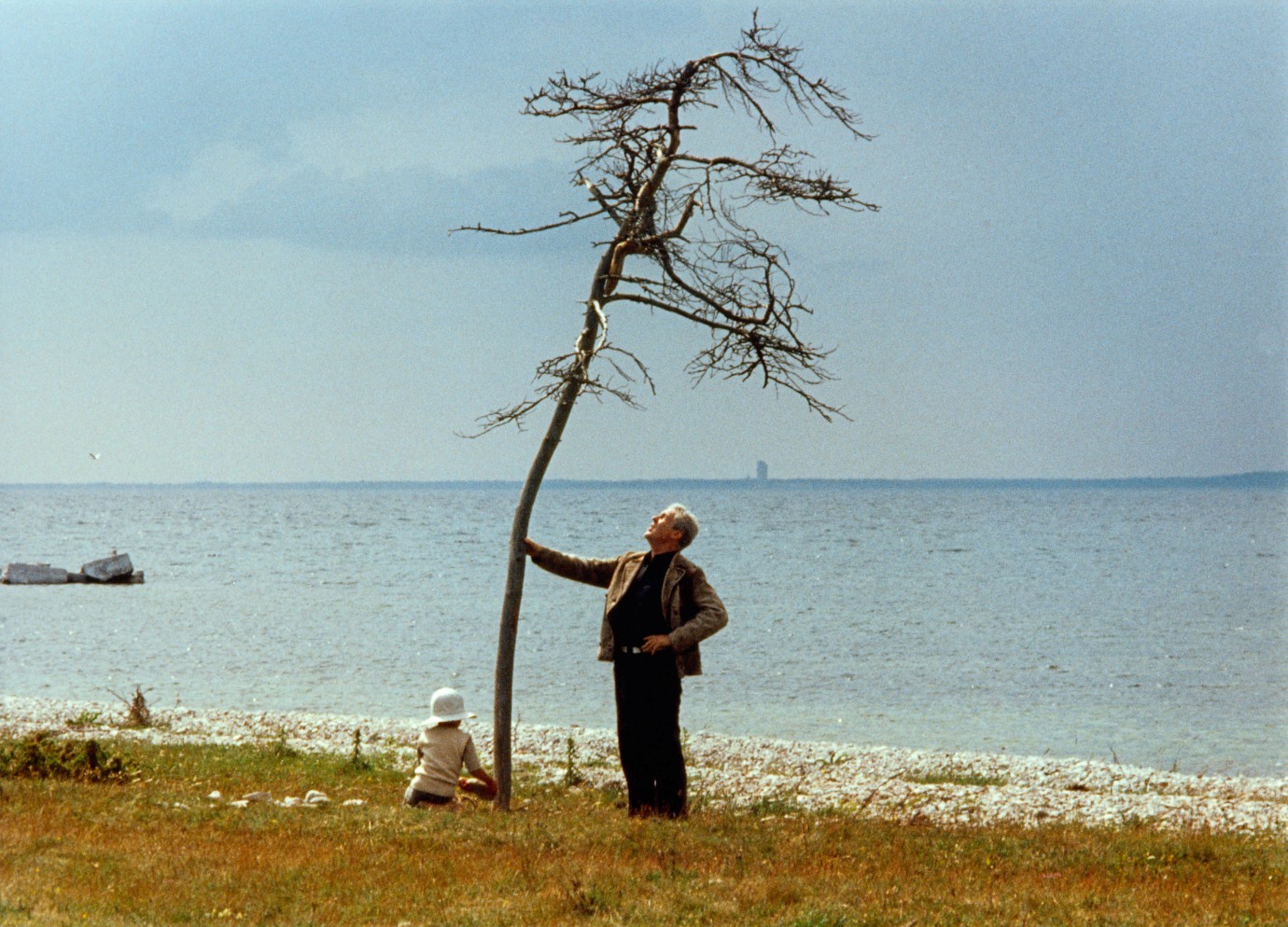 The Sacrifice (1986)