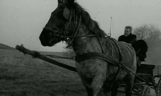 The Turin Horse (2011)