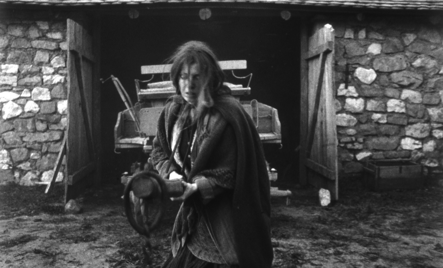 The Turin Horse (2011)