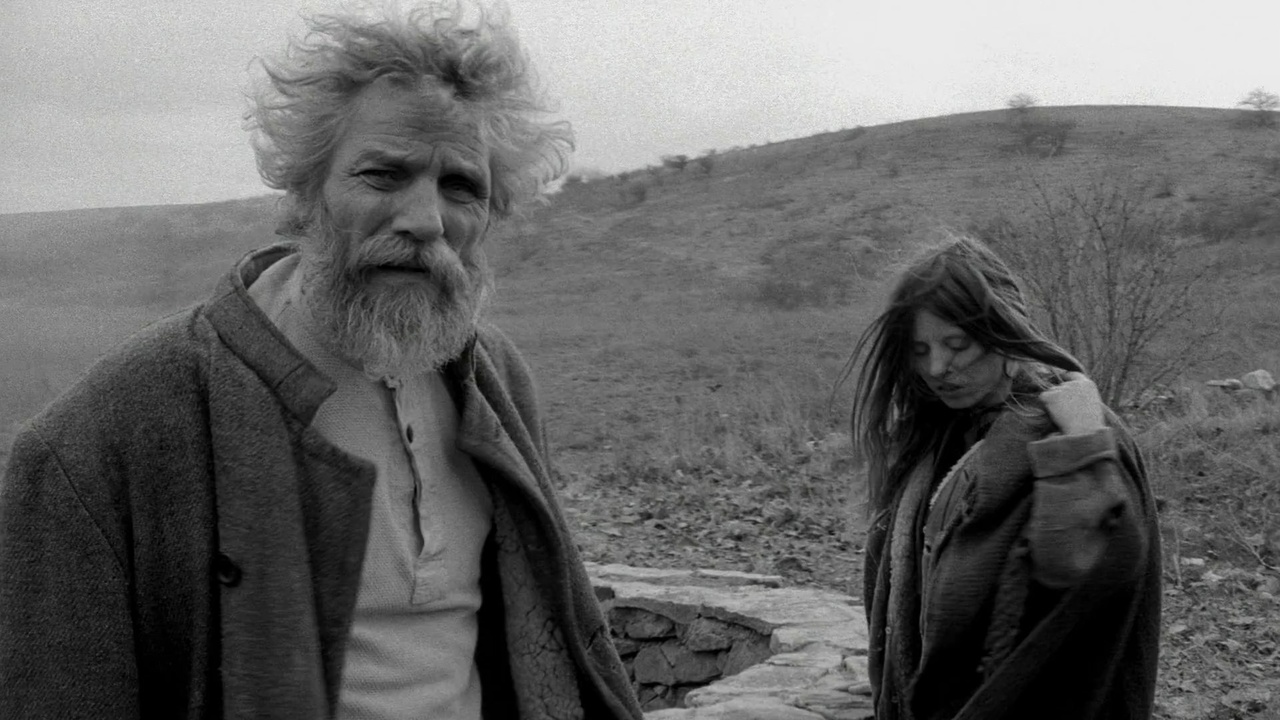 The Turin Horse (2011)